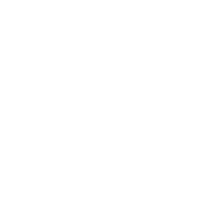 rising-coaches